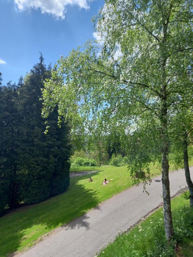 Le Lumadel Apartment Malmedy Bagian luar foto